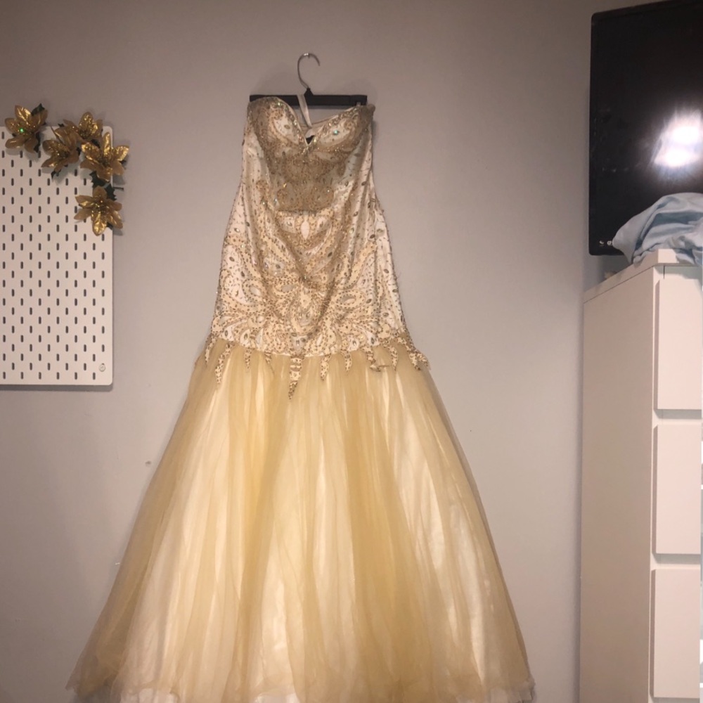 Woman’s Size 3/4 strapless drop-waist dress